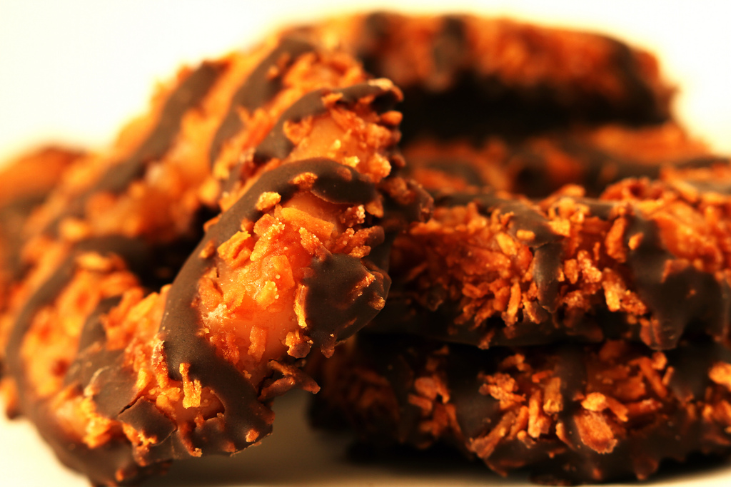 Girl Scout Cookies of&nbsp;Resistance!